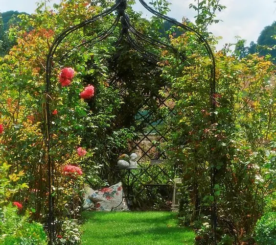 酒店 Romantik Zum Rosenhof 黑塞罗德