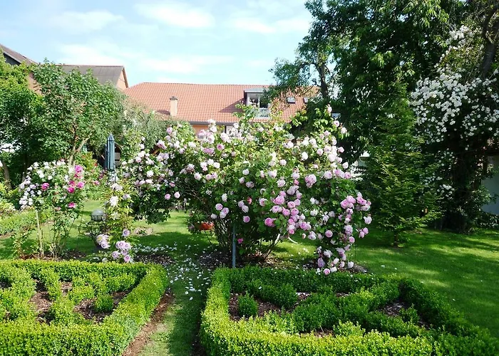 Romantik Zum Rosenhof 黑塞罗德